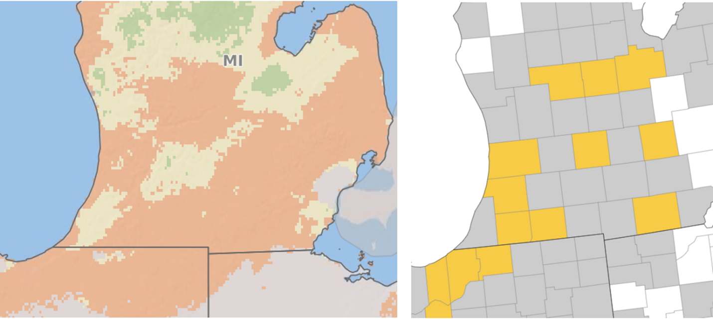 Fusarium risk (left) and counties in Michigan where tar spot has been identified thus far in 2021 (right).